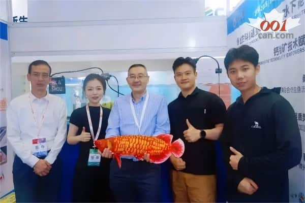 钙钛矿&times;仿生鱼技术！华彩光能弱光技术破局海洋能源新场景