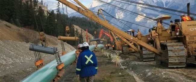 中国取代美国 成为加拿大最大原油买家